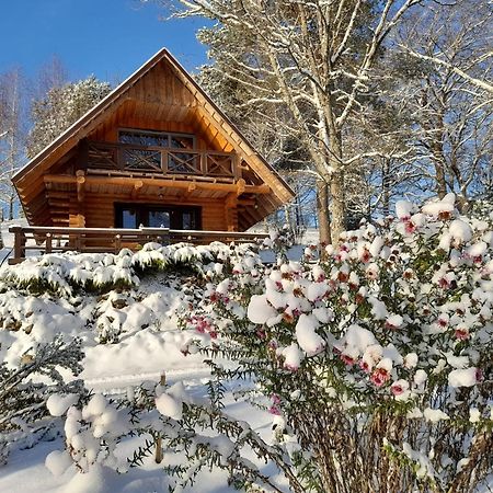 Ezerkalni Villa Raiskums Exteriör bild