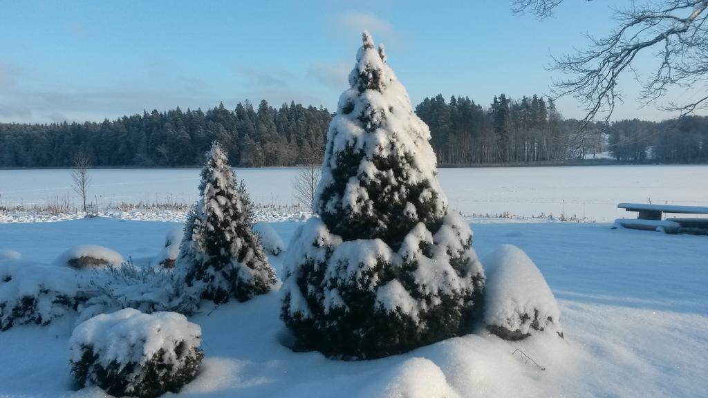 Ezerkalni Villa Raiskums Exteriör bild
